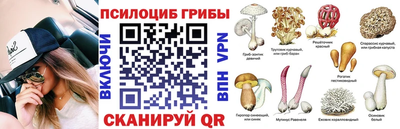 Псилоцибиновые грибы прущие грибы  Ртищево 
